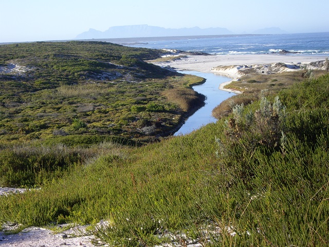 To Let 5 Bedroom Property for Rent in Grotto Bay Western Cape
